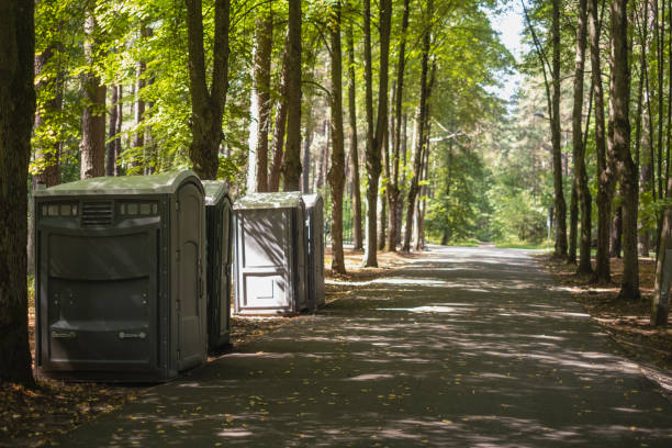 Portable Toilet Options We Offer in Cienegas Terrace, TX